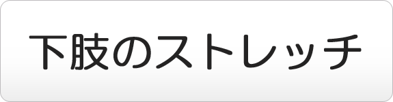 下肢のストレッチ