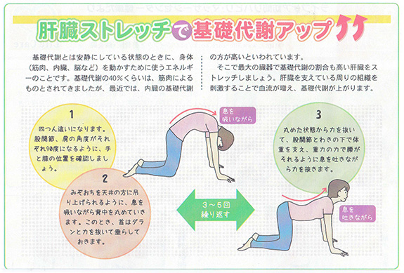 健康だより2016年3・4月号②